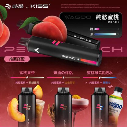 WAGOO 哇酷 6500 型 職人研發 KIS5 全密封系統 徹底終結漏油噩夢 瞬變 78 轉迷幻美學,每一口都是清亮純淨的頂級饗宴 台灣現貨:圖片 11