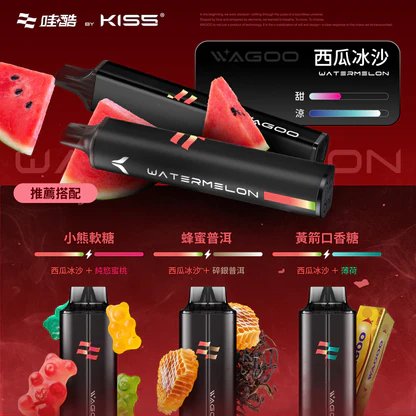 WAGOO 哇酷 6500 型 職人研發 KIS5 全密封系統 徹底終結漏油噩夢 瞬變 78 轉迷幻美學,每一口都是清亮純淨的頂級饗宴 台灣現貨:圖片 2